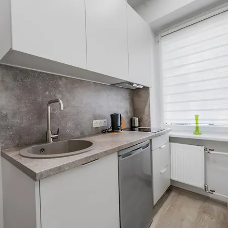 Centrinis Butas Salia Senvages Apartment Panevezys Exterior photo
