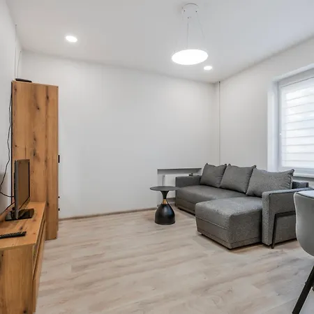 Centrinis Butas Salia Senvages Apartment Panevezys Exterior photo