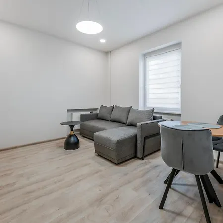 Centrinis Butas Salia Senvages Apartment Panevezys Exterior photo