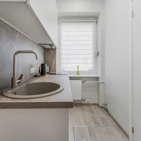 Centrinis Butas Salia Senvages Apartment Panevezys Exterior photo